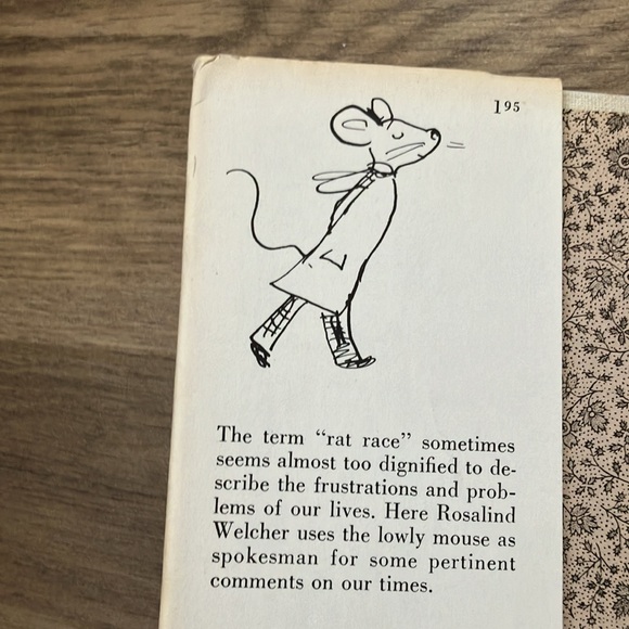 SQUEAKING BY by ROSALIND WELCHER Panda Prints , Inc NY hardcover book - Picture 11 of 16